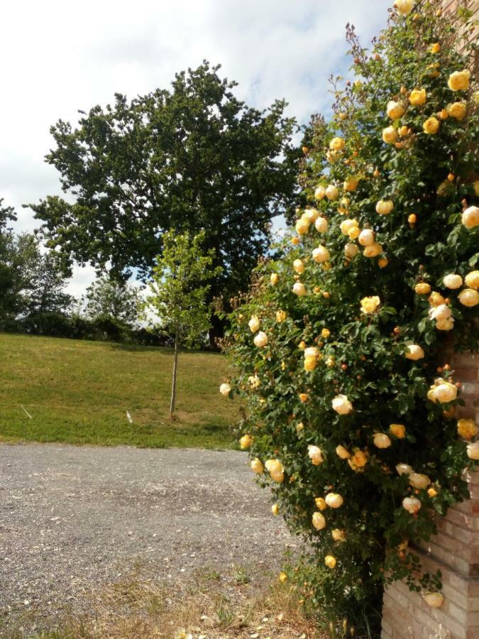 Villa Agriturismo Ca' Preda à San Giorgio Piacentino Extérieur photo